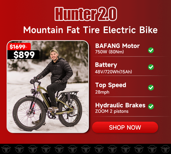Kingbull Bikes Facebook ad