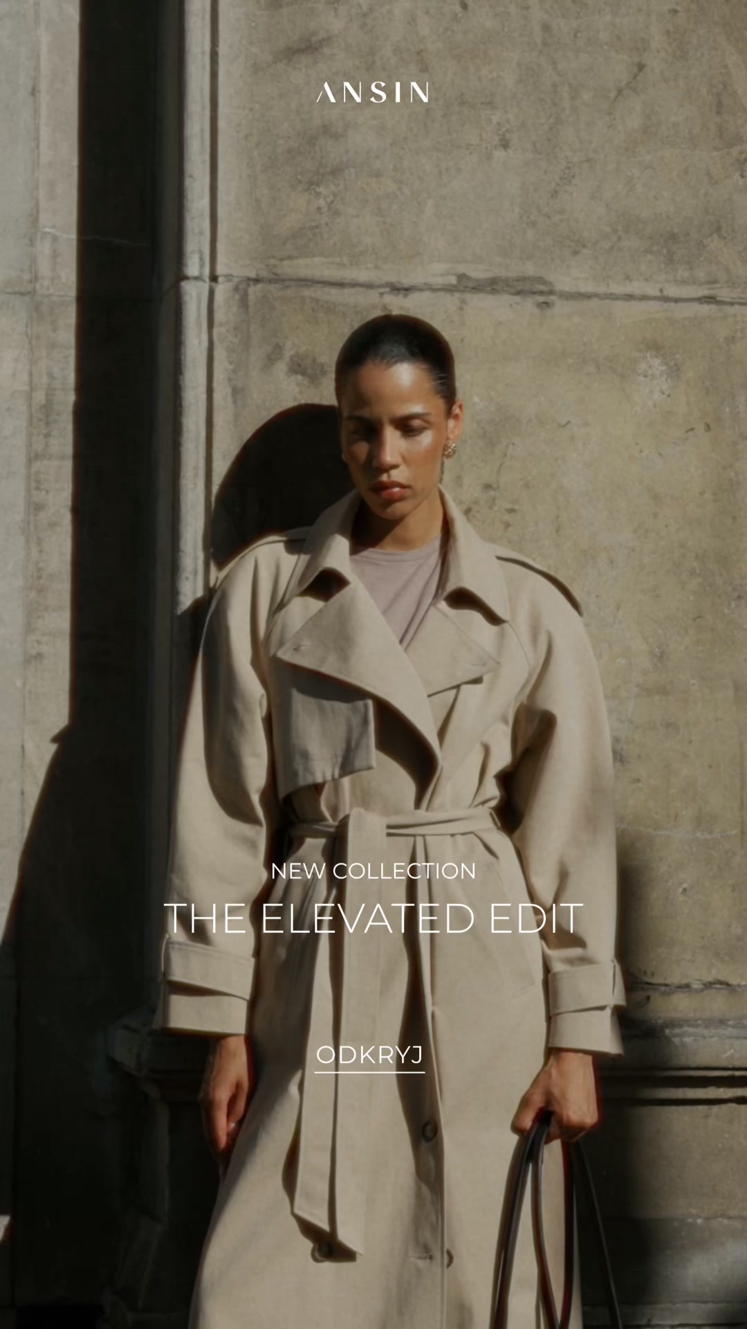 ANSIN Facebook ad: THE ELEVATED EDIT