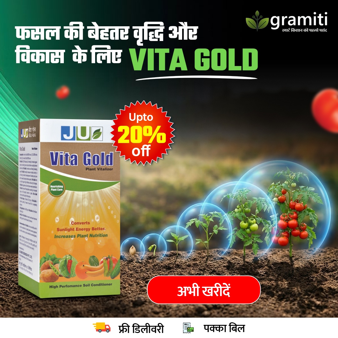 Gramiti Facebook ad: कमजोर फसल? अब समाधान आसान