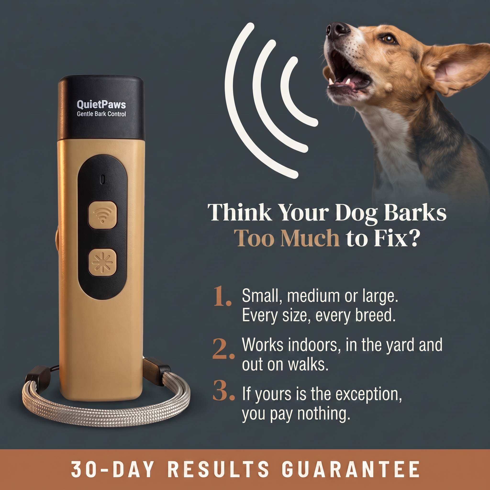 Hunters Doggy Daycare Facebook ad