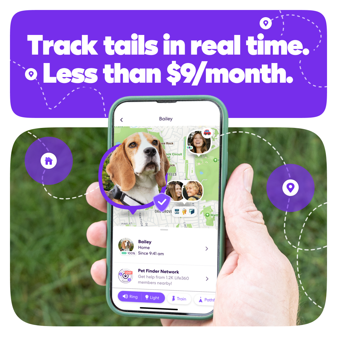 Life360 Facebook ad: Know Where They Go. Every Time.
