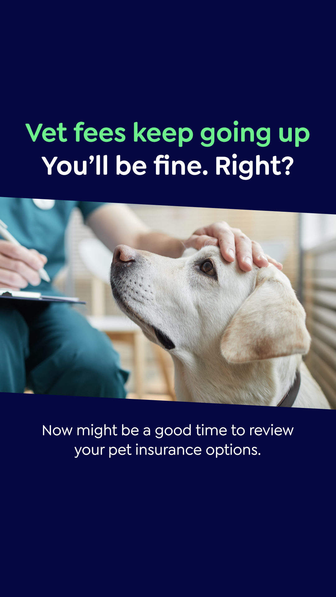Petgevity UK Facebook ad