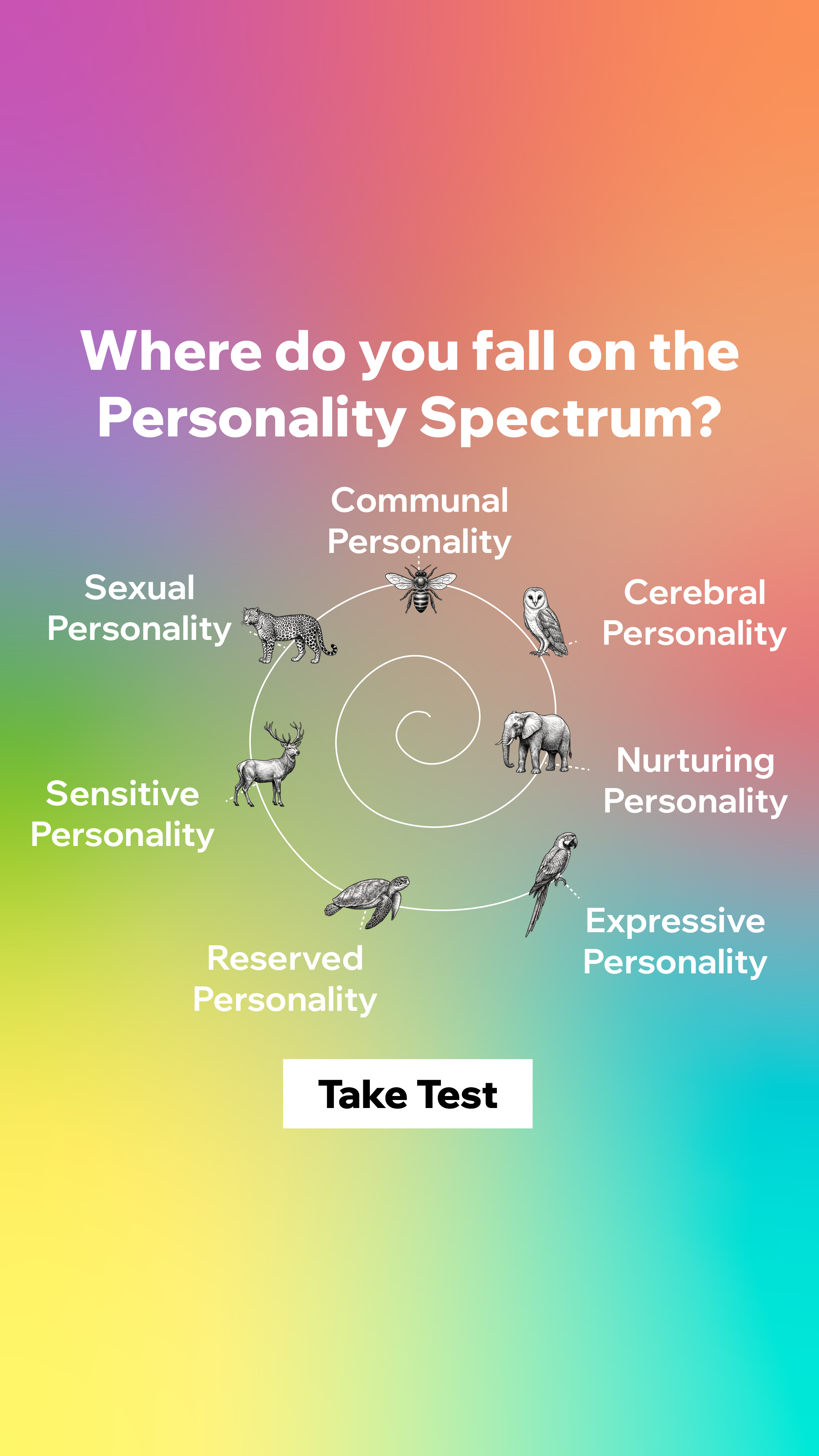 Personality Type Facebook ad