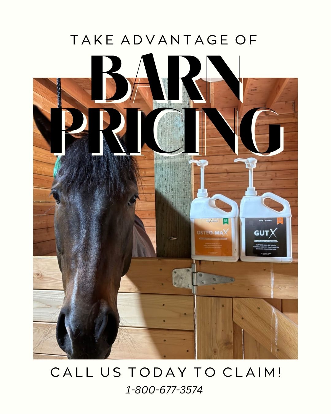 100X Equine Facebook ad from Mar 27, 2026