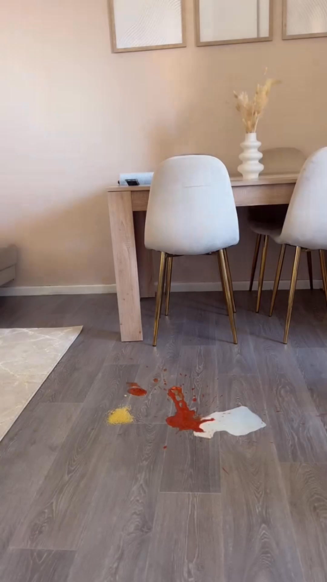 Tineco France Facebook ad: The world's best value floor scrubber - Tineco S9!