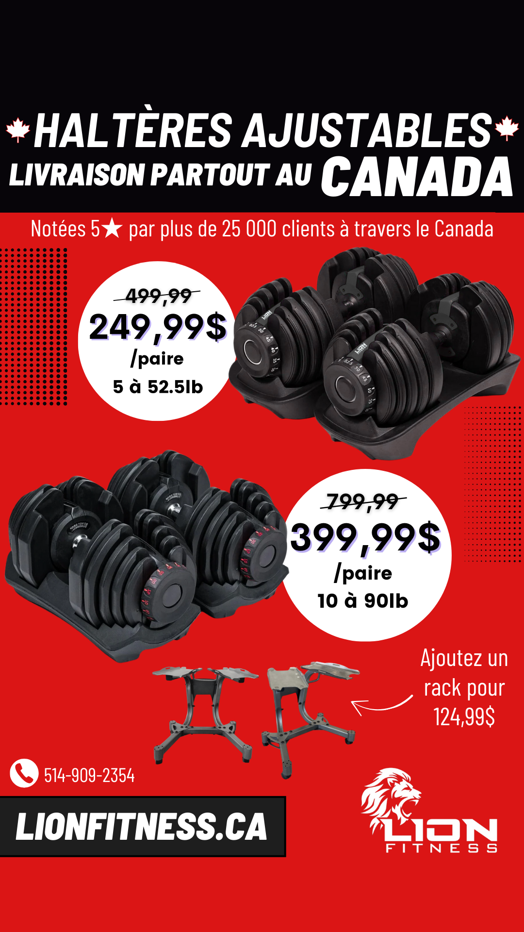 Lion Fitness Facebook ad