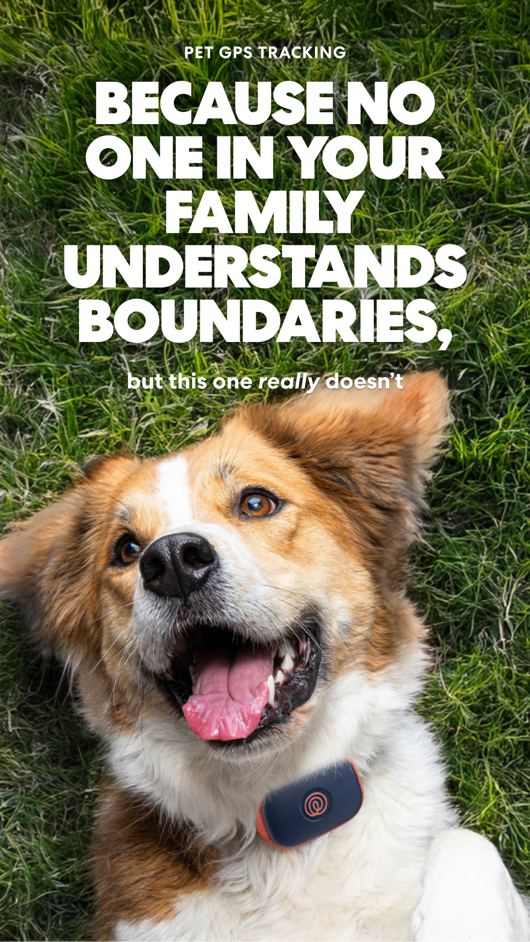 Life360 Facebook ad: Stay on their tail.