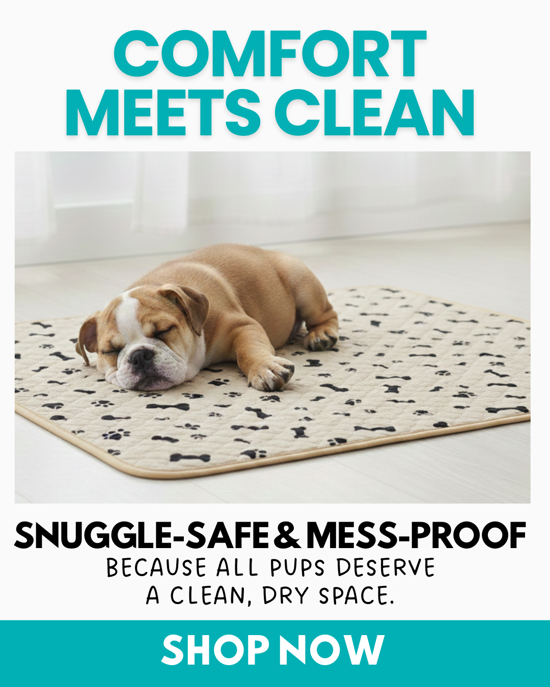 Potty Buddy Facebook ad