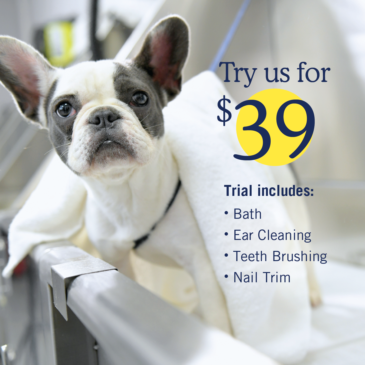 Scenthound Facebook ad: Located in Vineyard Village Shopping Center