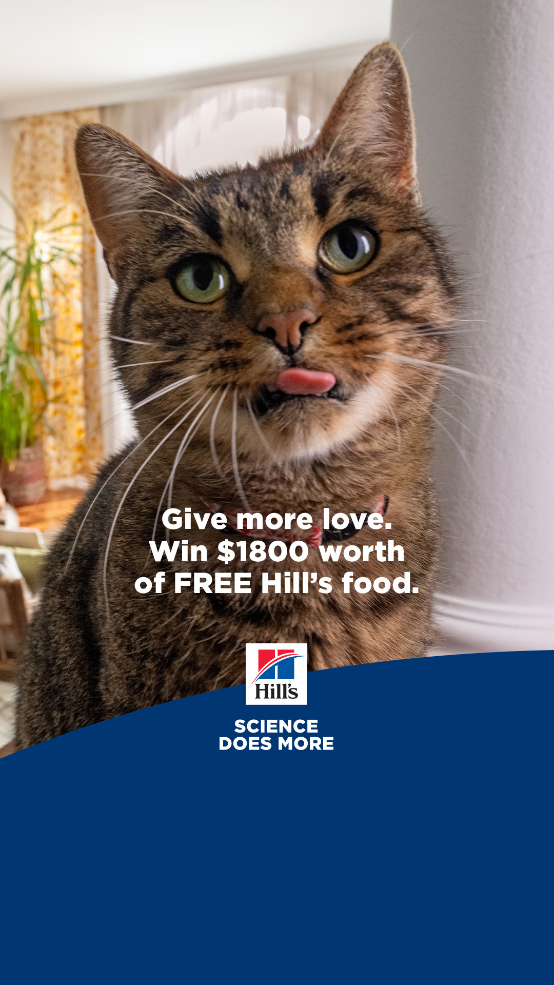 Hill’s Pet Nutrition Facebook ad
