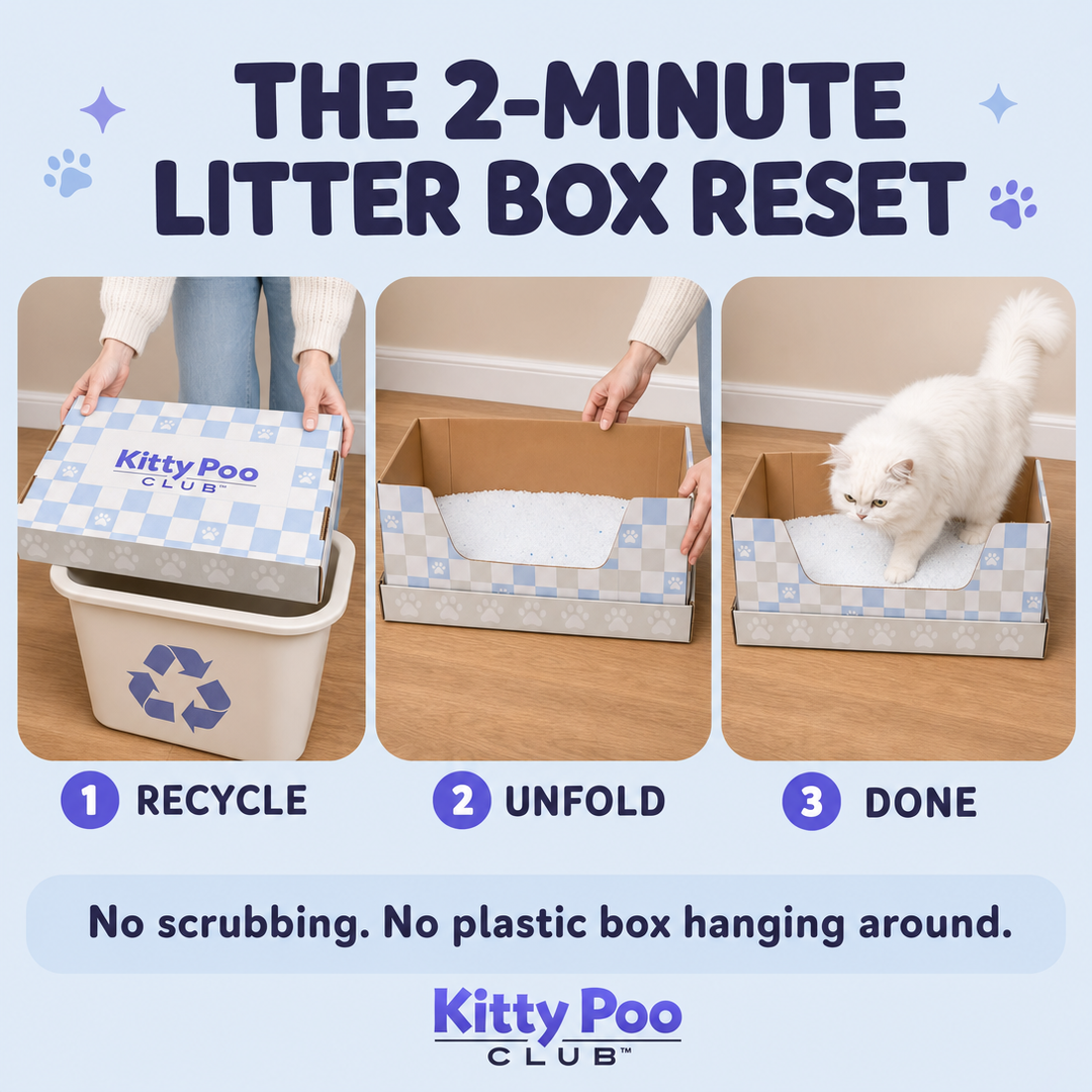 Kitty Poo Club Facebook ad