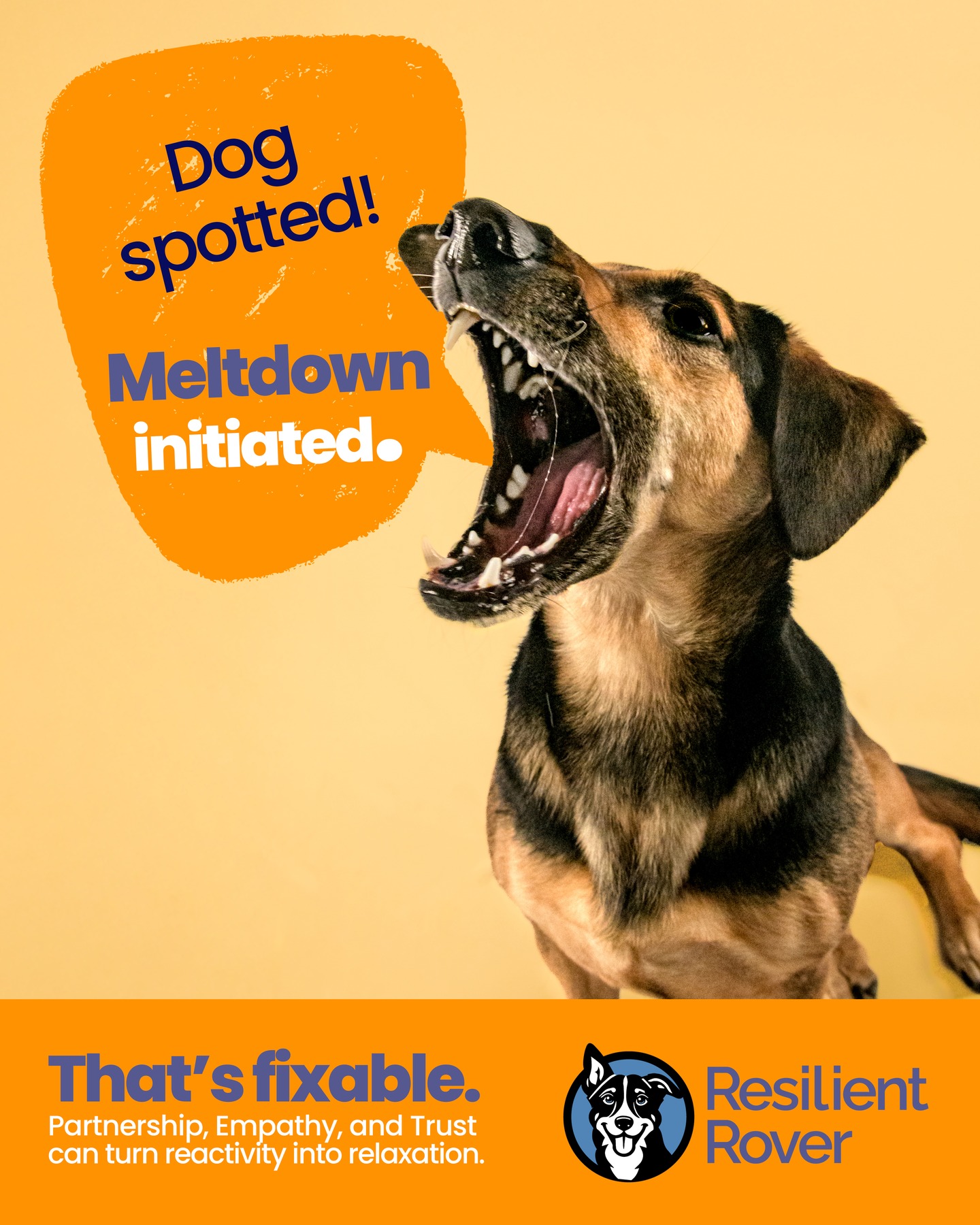 resilient_rover Facebook ad: At @resilient_rover, we take a different approach to…