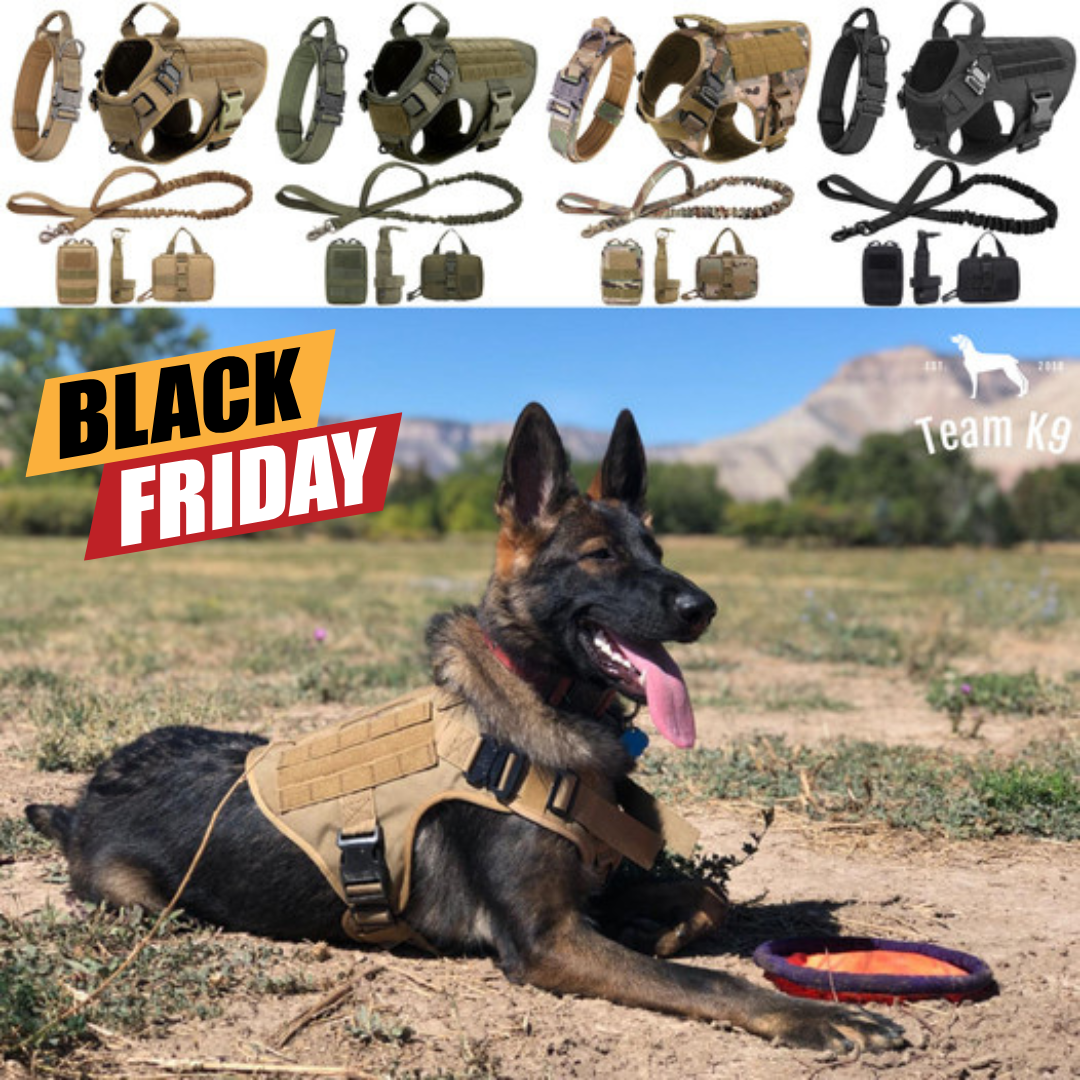 Team K9 Facebook ad