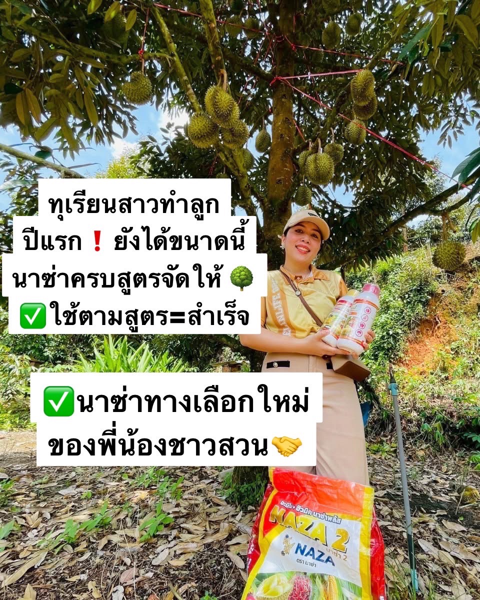 นาซ่าเพื่อนเเท้ชาวสวน สั่งซื้อ/สมัครตัวเเทน โทร 061-9891536 Facebook ad: ลูกสวยน้ำหนักดีขายได้ราคา ไม่มีท้อปเข้าลูกไม่มีราดำราแป้ง…