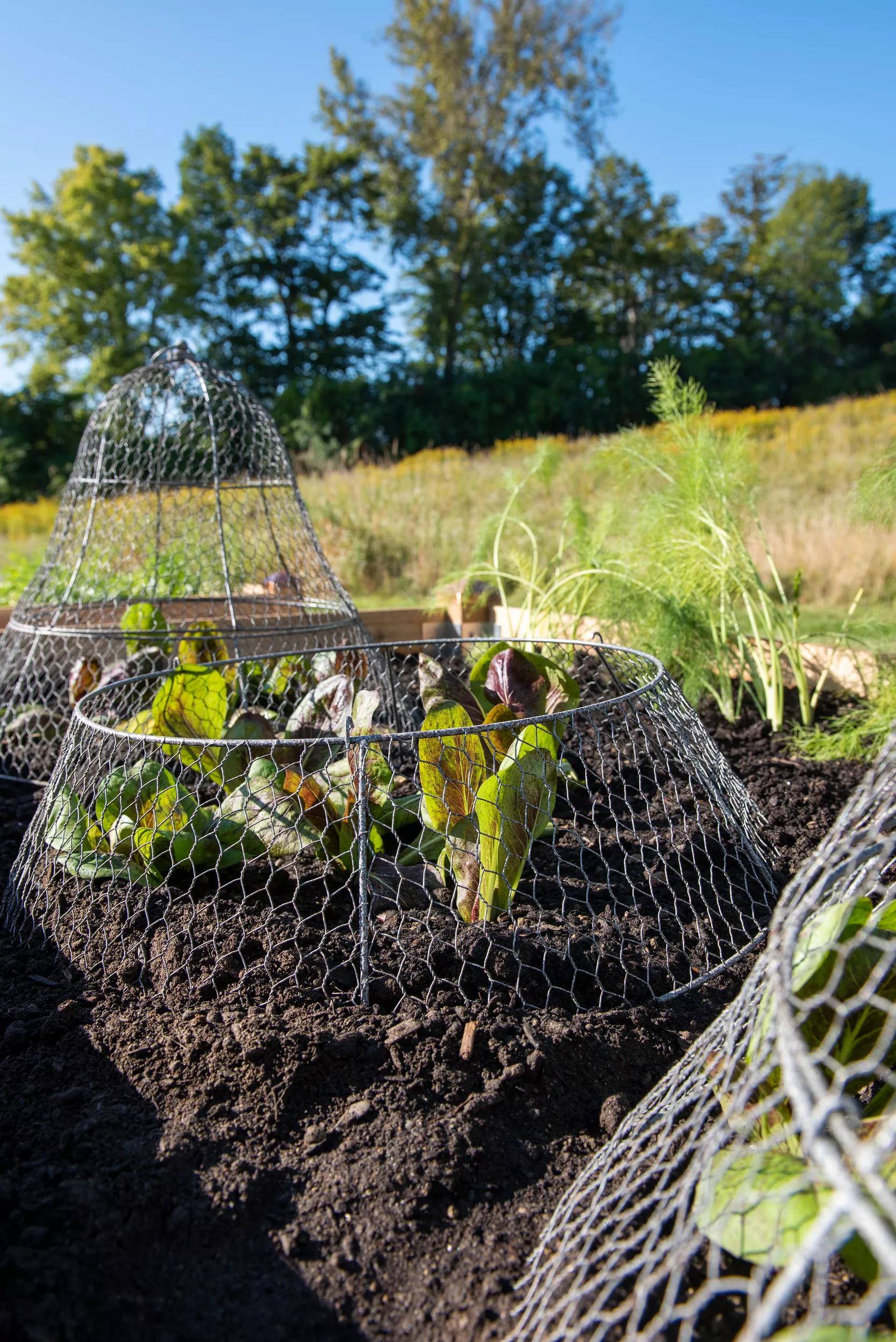 Gardener's Supply Company Facebook ad: Protect Your Garden Naturally!