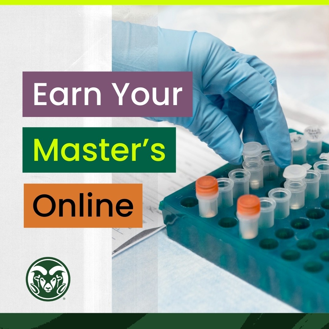 Colorado State University Online Facebook ad