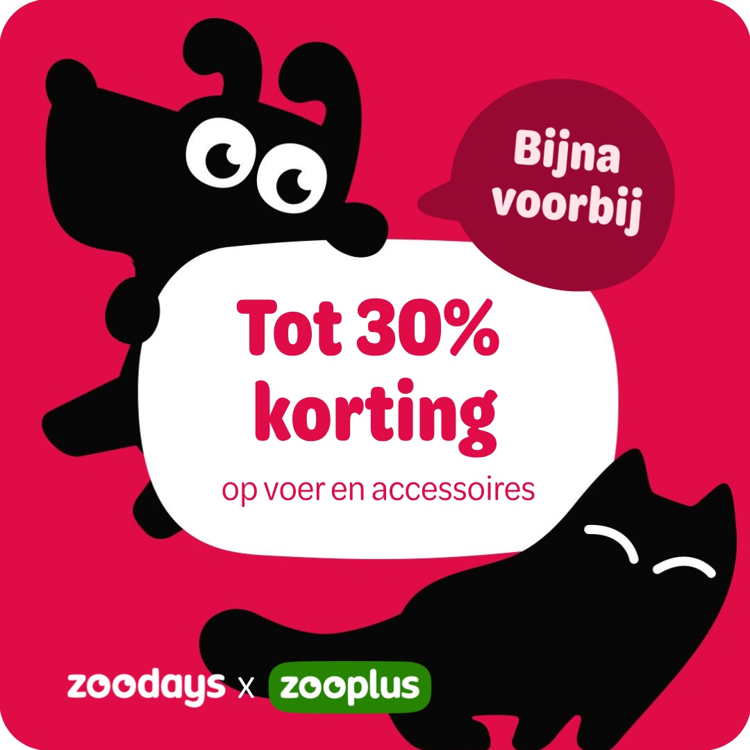 zooplus Facebook ad