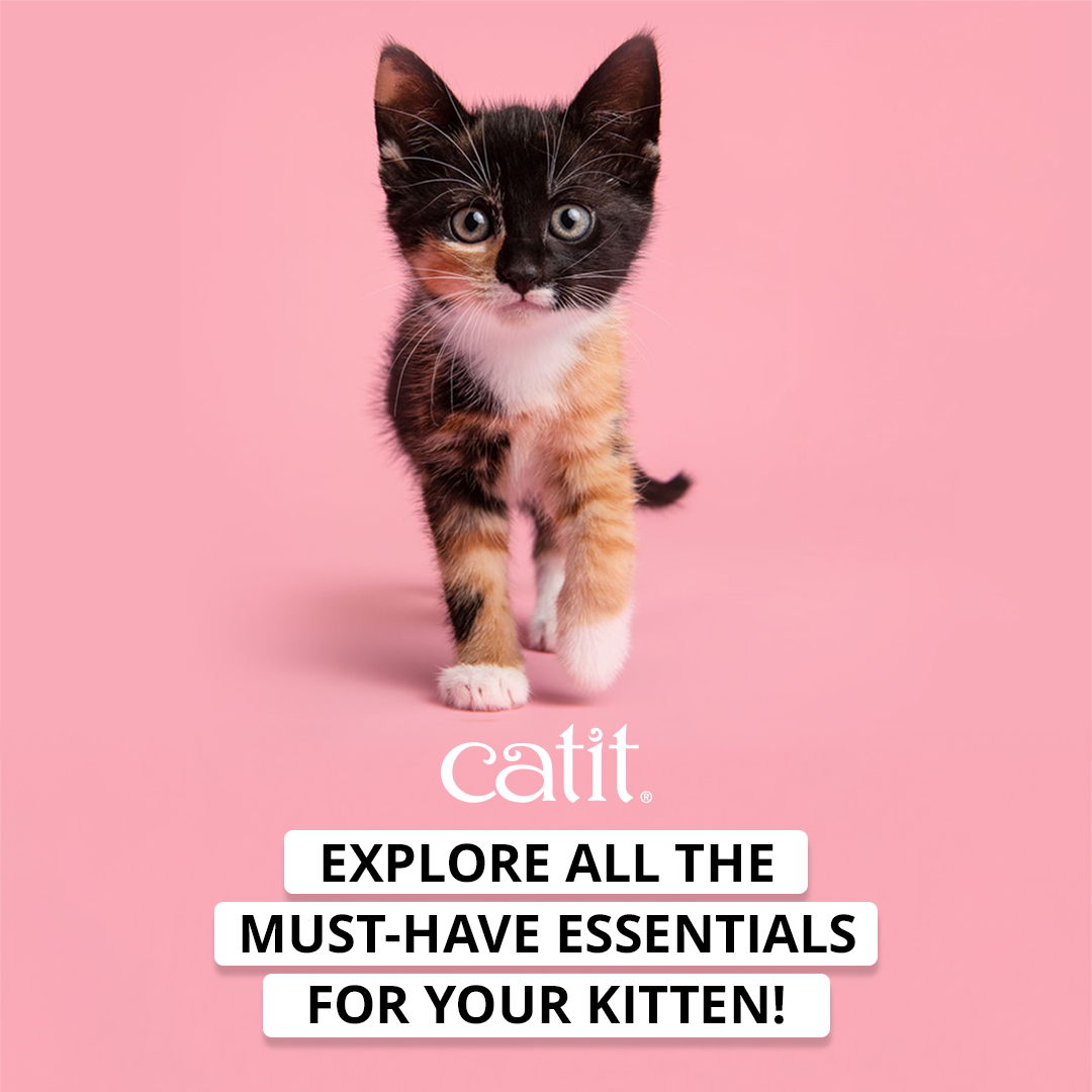 Catit Canada Facebook ad