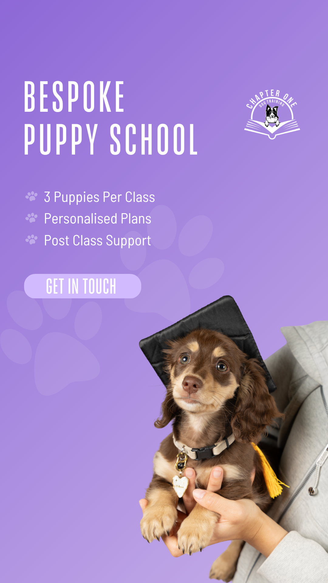Chapter One Dog Training Facebook ad