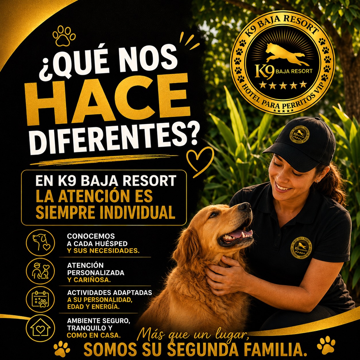 K9 Baja Resort Hotel Para Perros VIP Facebook ad