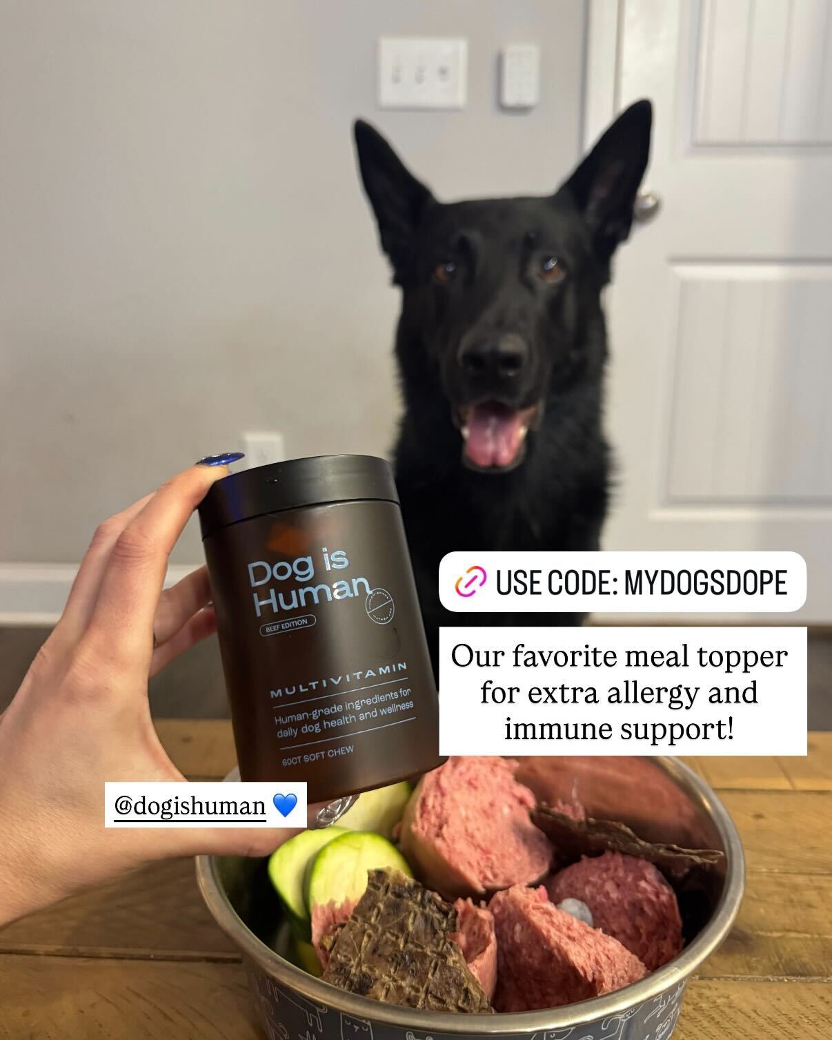 Dog is Human Facebook ad