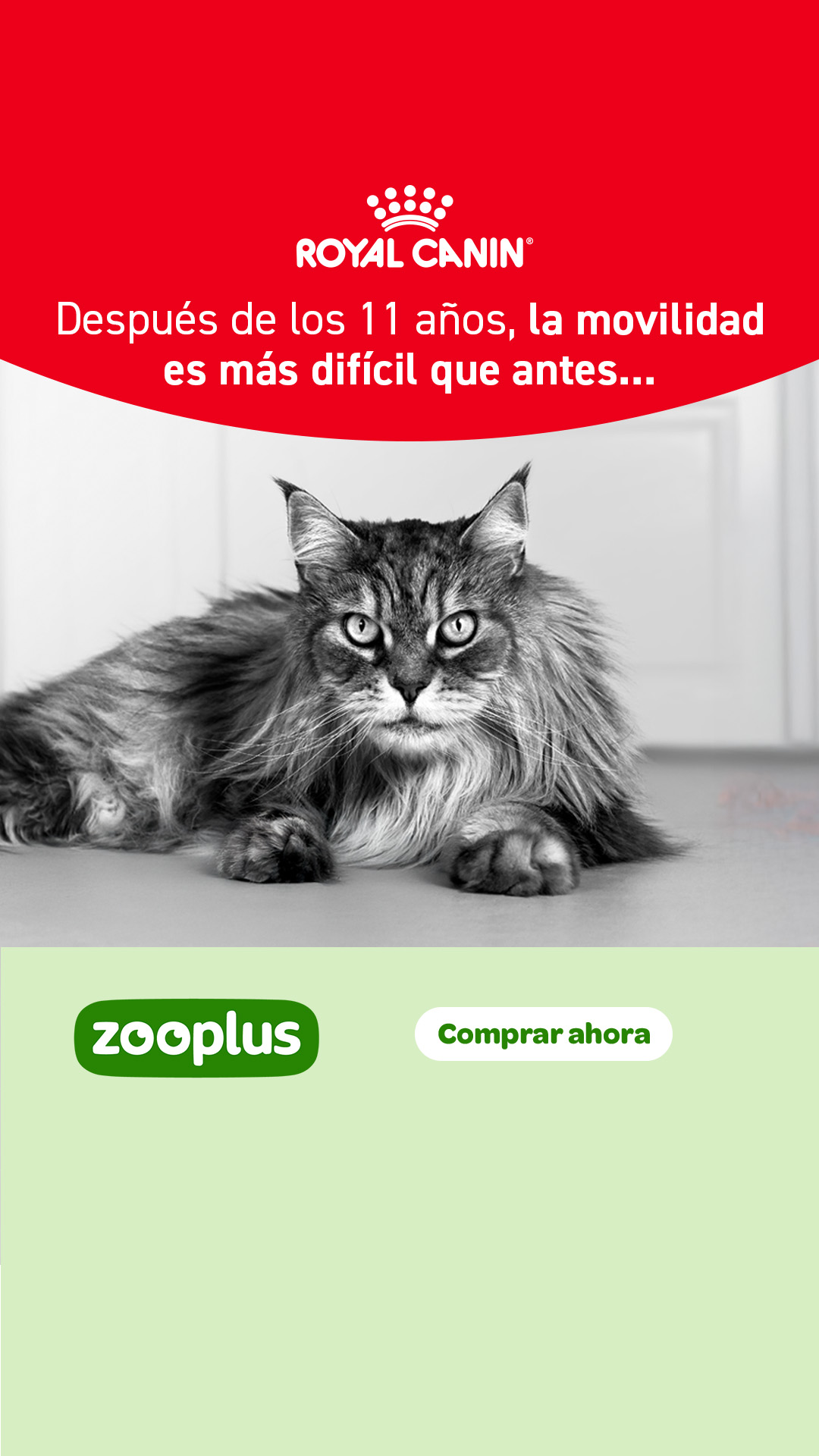 zooplus Facebook ad from Jul 29, 2026