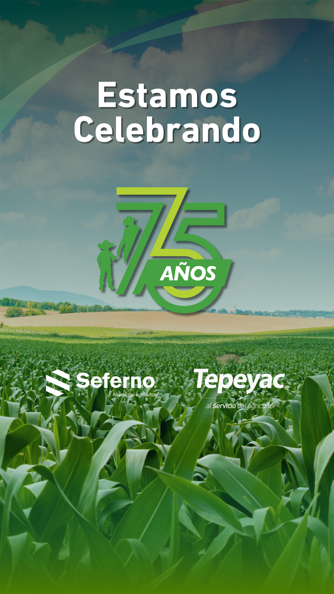 Sefernomx Facebook ad from Sep 6, 2025