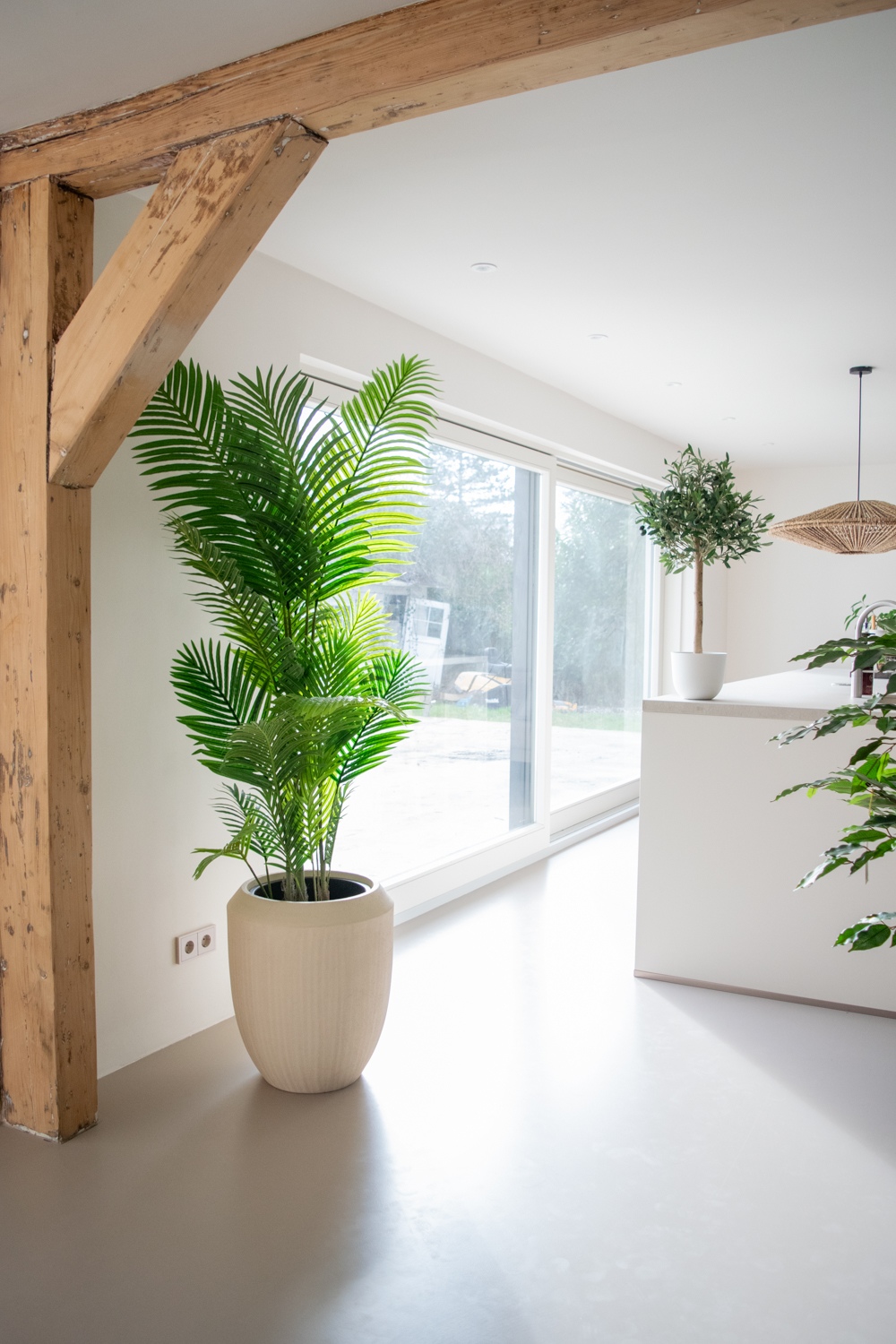 Easyplants Facebook ad