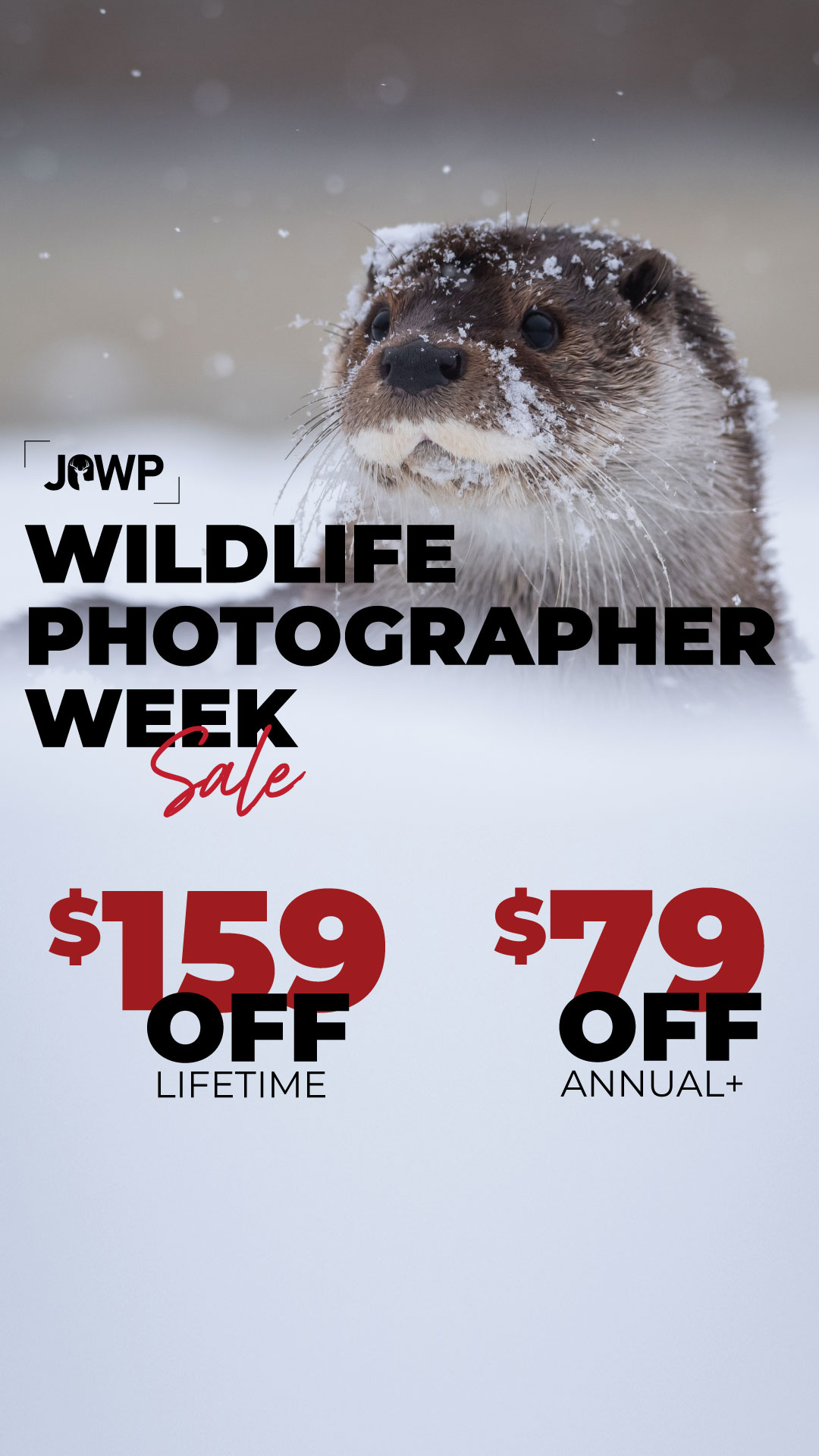 Journal of Wildlife Photography Facebook ad