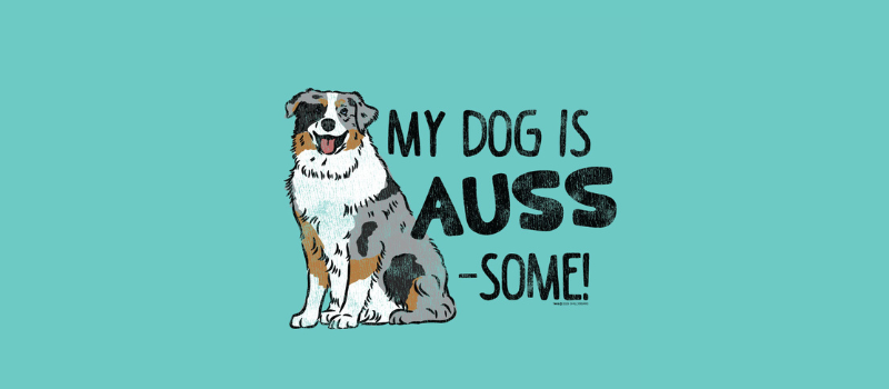 Teddy the Dog Apparel Facebook ad