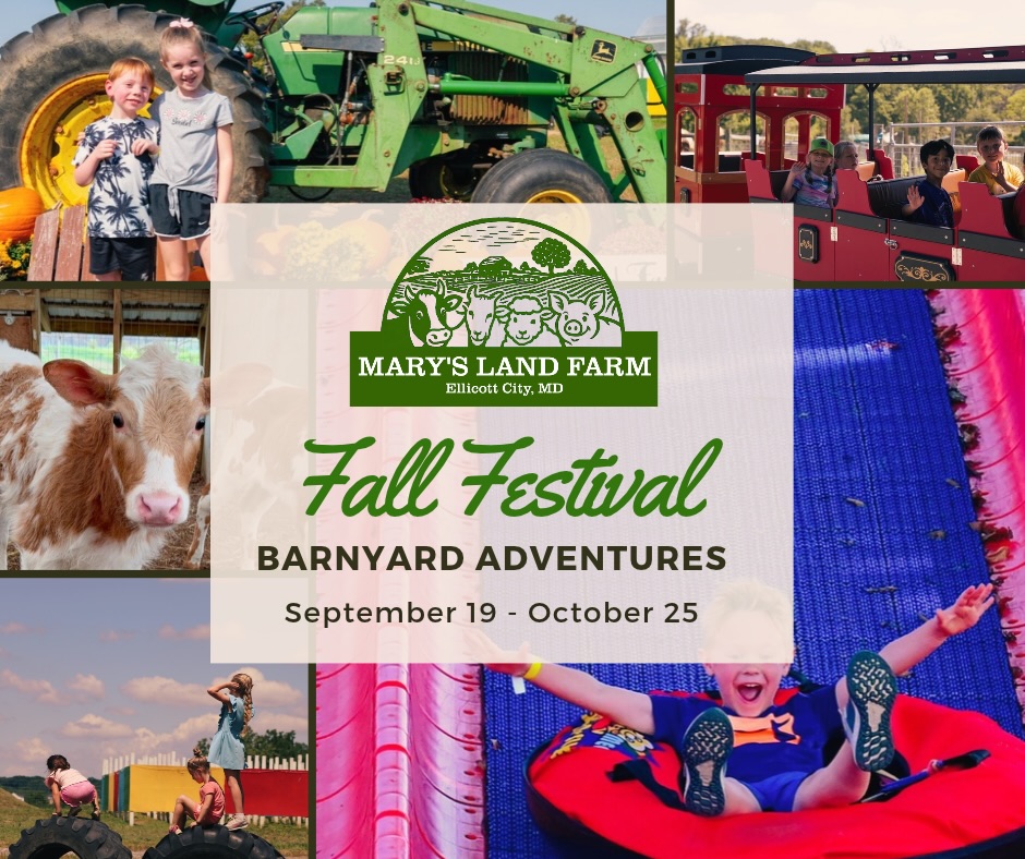 Mary's Land Farm Facebook ad: FALL FESTIVAL ALERT!