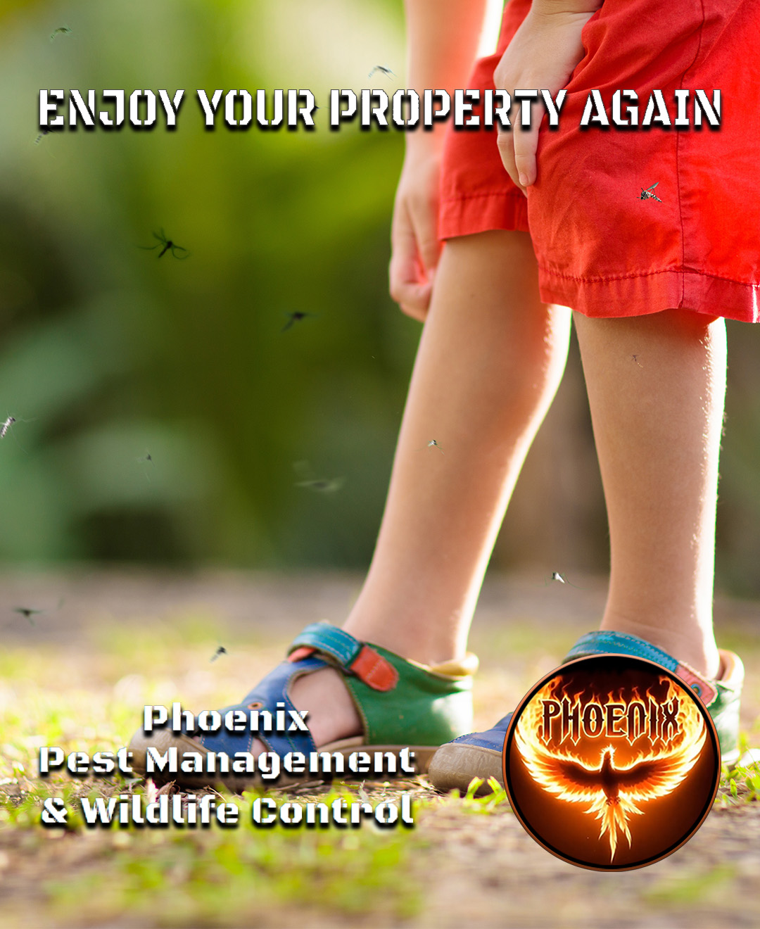 Phoenix Pest Management & Wildlife Control Facebook ad