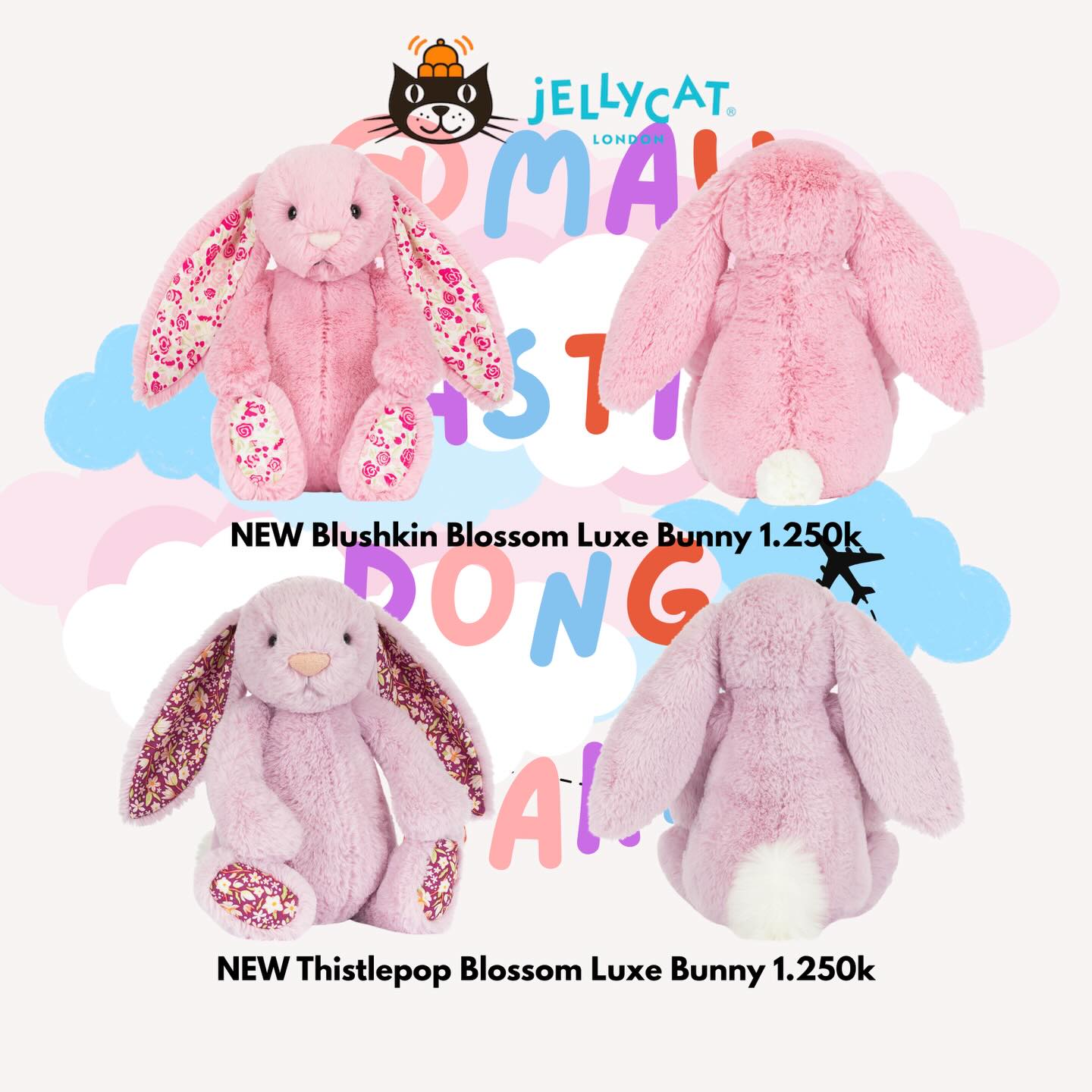 maujastipdong.kak Facebook ad: NEW @jellycat DROP Feb 10
