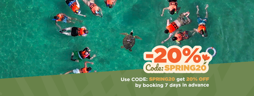 Akumal Monkey Sanctuary & Rescued Animals Facebook ad from Dec 16, 2025