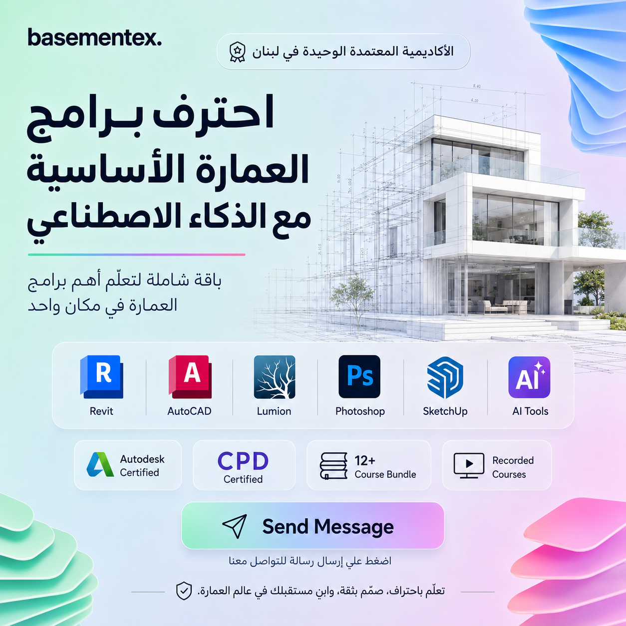 Basementex Facebook ad