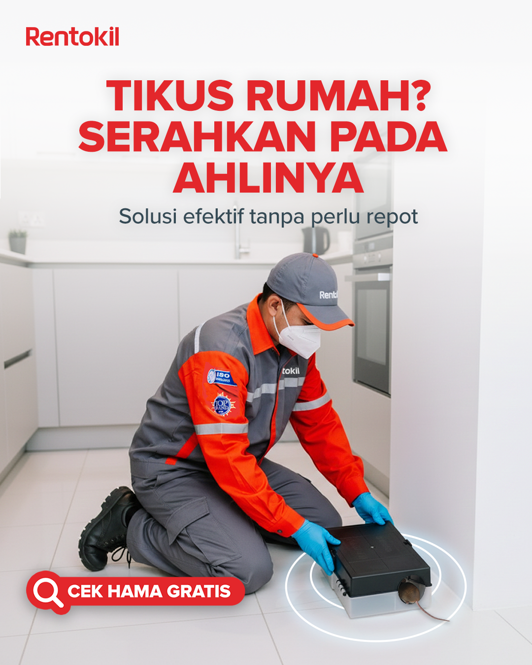 Rentokil Indonesia Facebook ad: Jasa anti tikus terbaik dengan teknisi bersertifikat untuk…