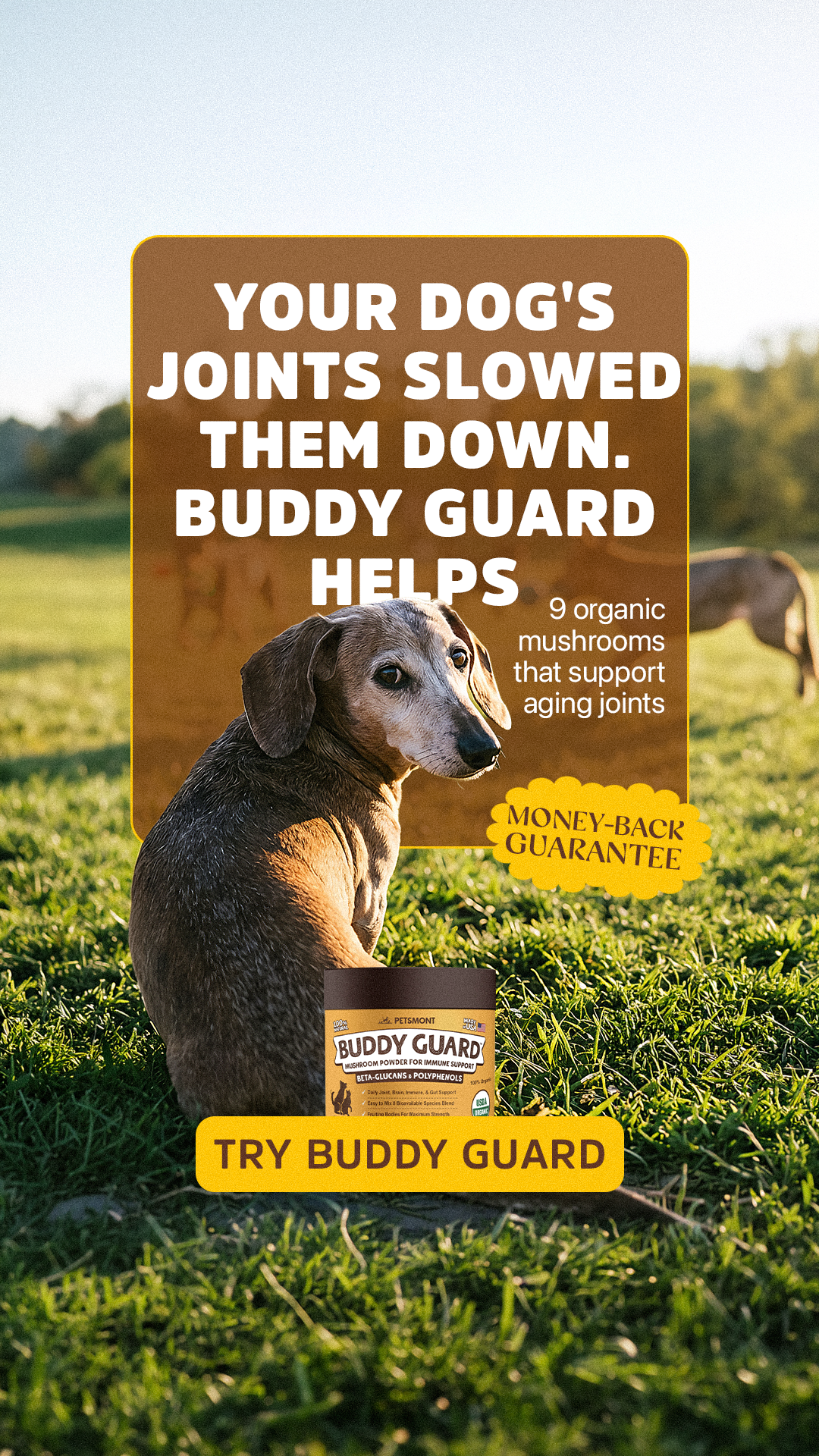 Well Pup Life Facebook ad