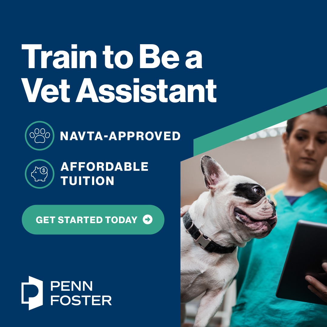 Penn Foster Facebook ad