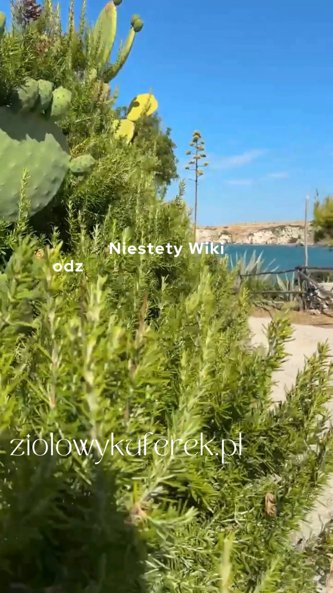 Ziołowy Kuferek Facebook ad: Kod promocyjny: dbajosiebie działa i obniża cenę o…