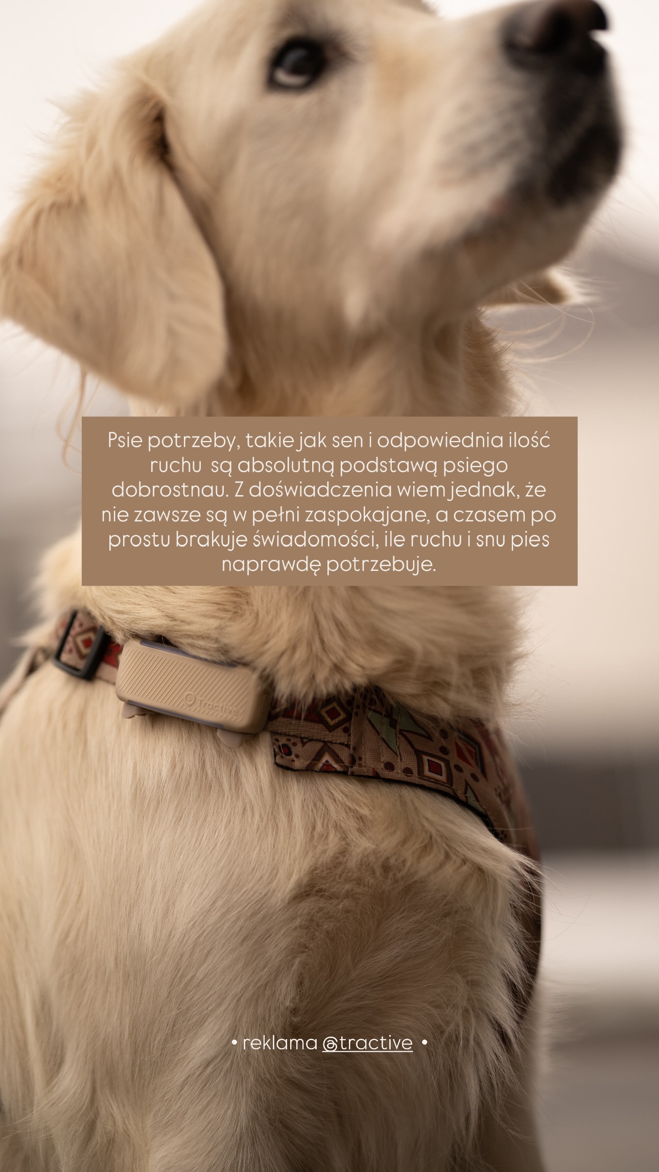 psiorozumienie Facebook ad