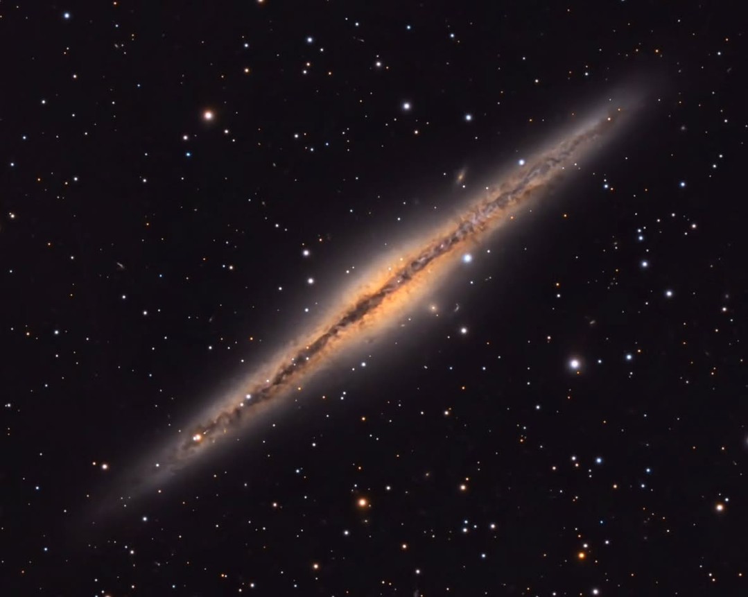Celestron Facebook ad: NGC 891, captured by Brian (@churchville_astro) under…