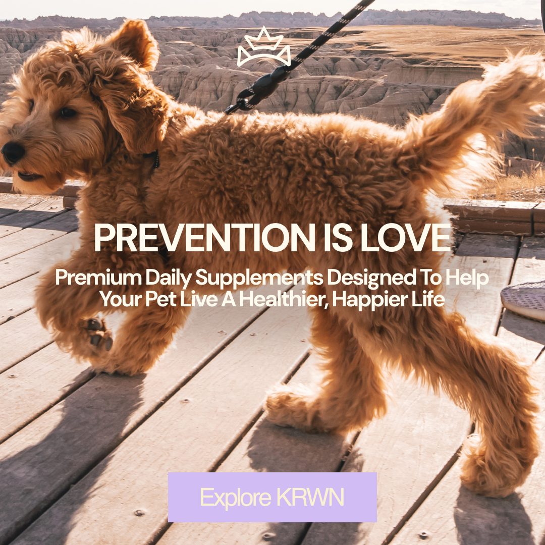 KRWN Facebook ad: Healthy Starts Before Symptoms