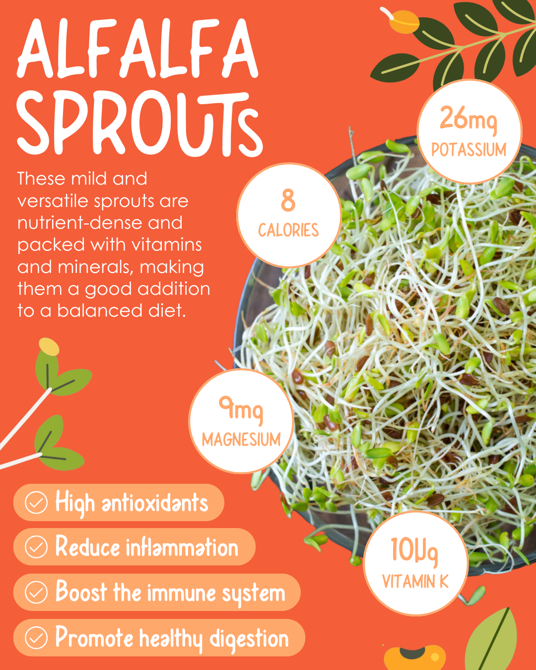 The Sprouting Company Facebook ad
