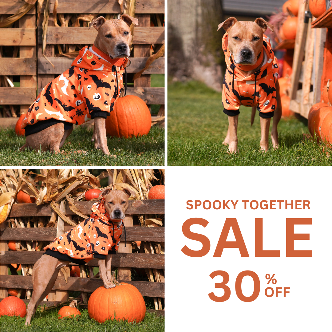 Spark Paws Facebook ad