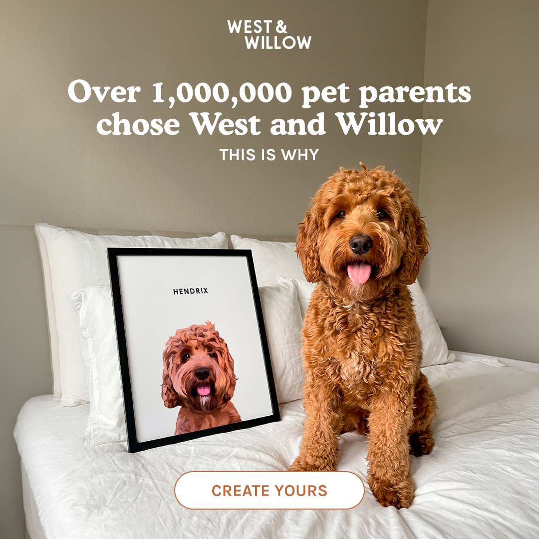 West & Willow Facebook ad