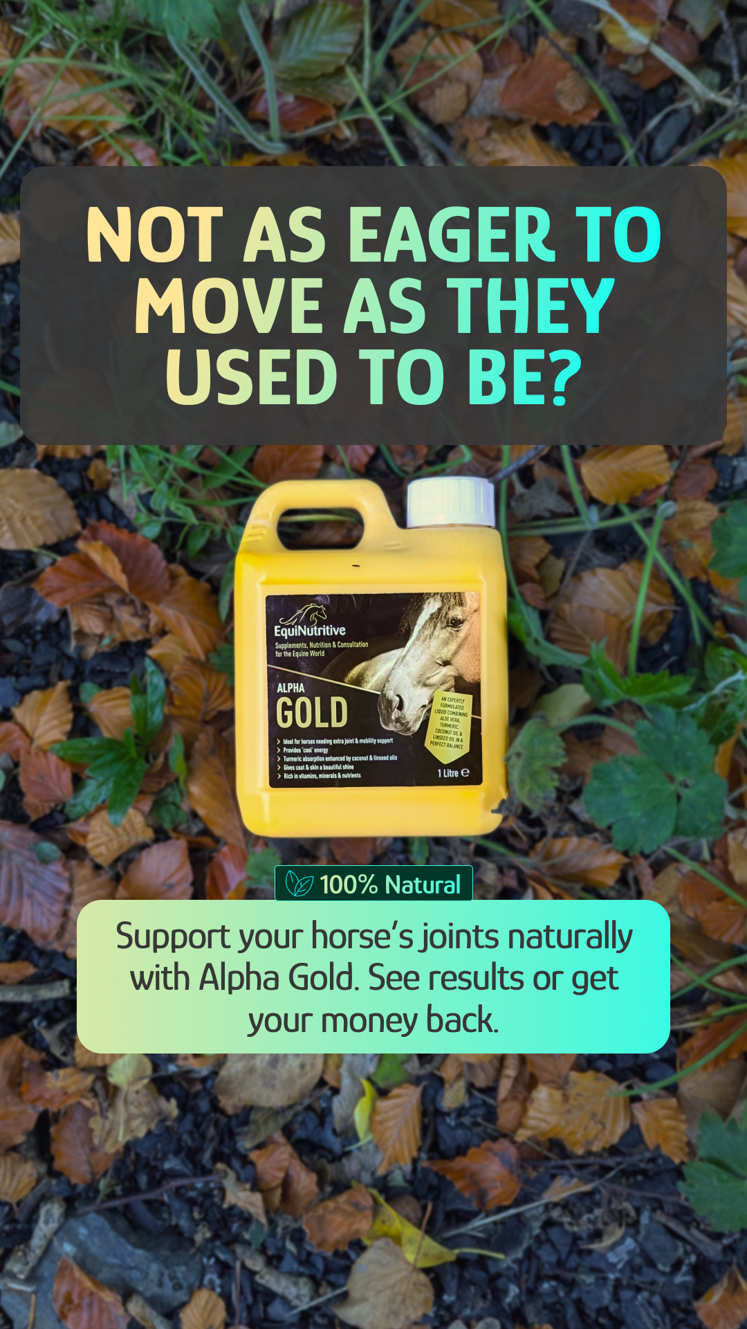 EquiNutritive Facebook ad