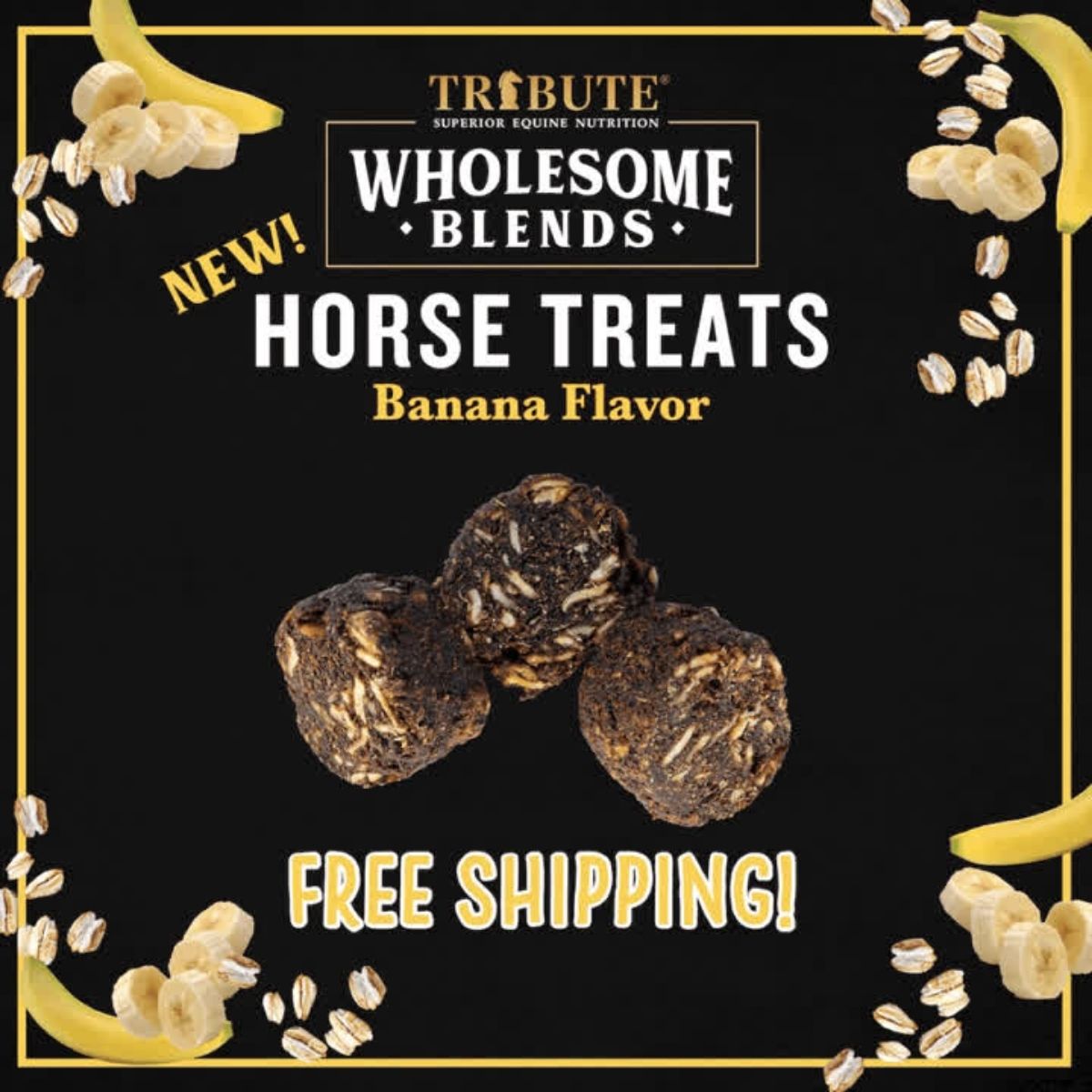 Tribute Equine Nutrition Facebook ad: Free shipping! No code needed