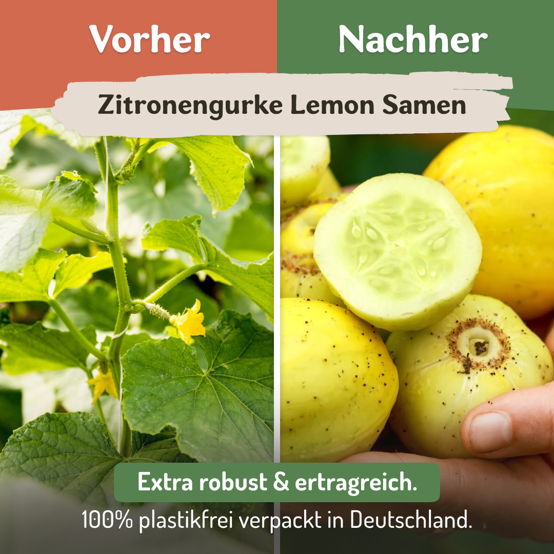 Samenfritze Facebook ad