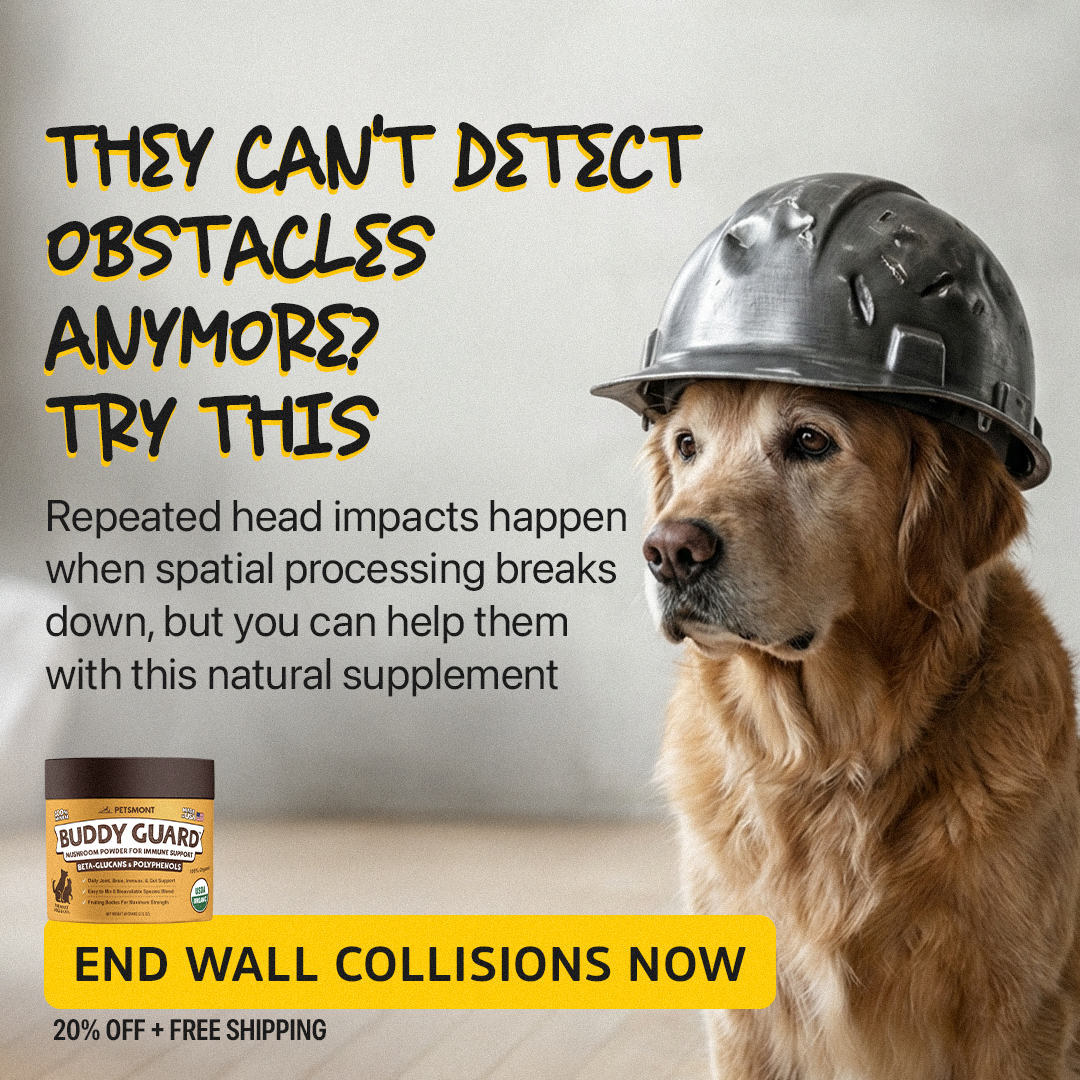 Petsmont Facebook ad