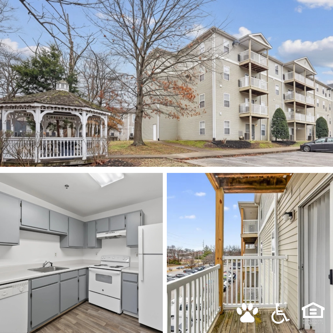 Argyle Avenue Apartments Facebook ad: Move in Now! One Month Free!*